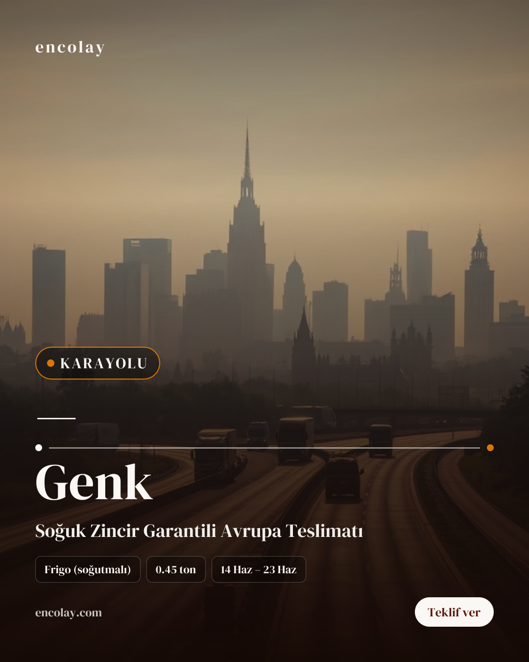 Türkiye-Belçika Genk Arası 450 kg Paket Taşıma