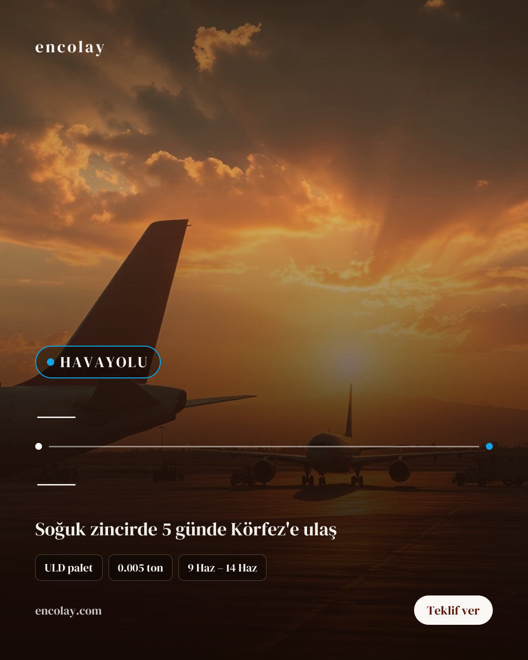 Türkiye-Suudi Arabistan arası gıda ürünleri havayolu taşıması