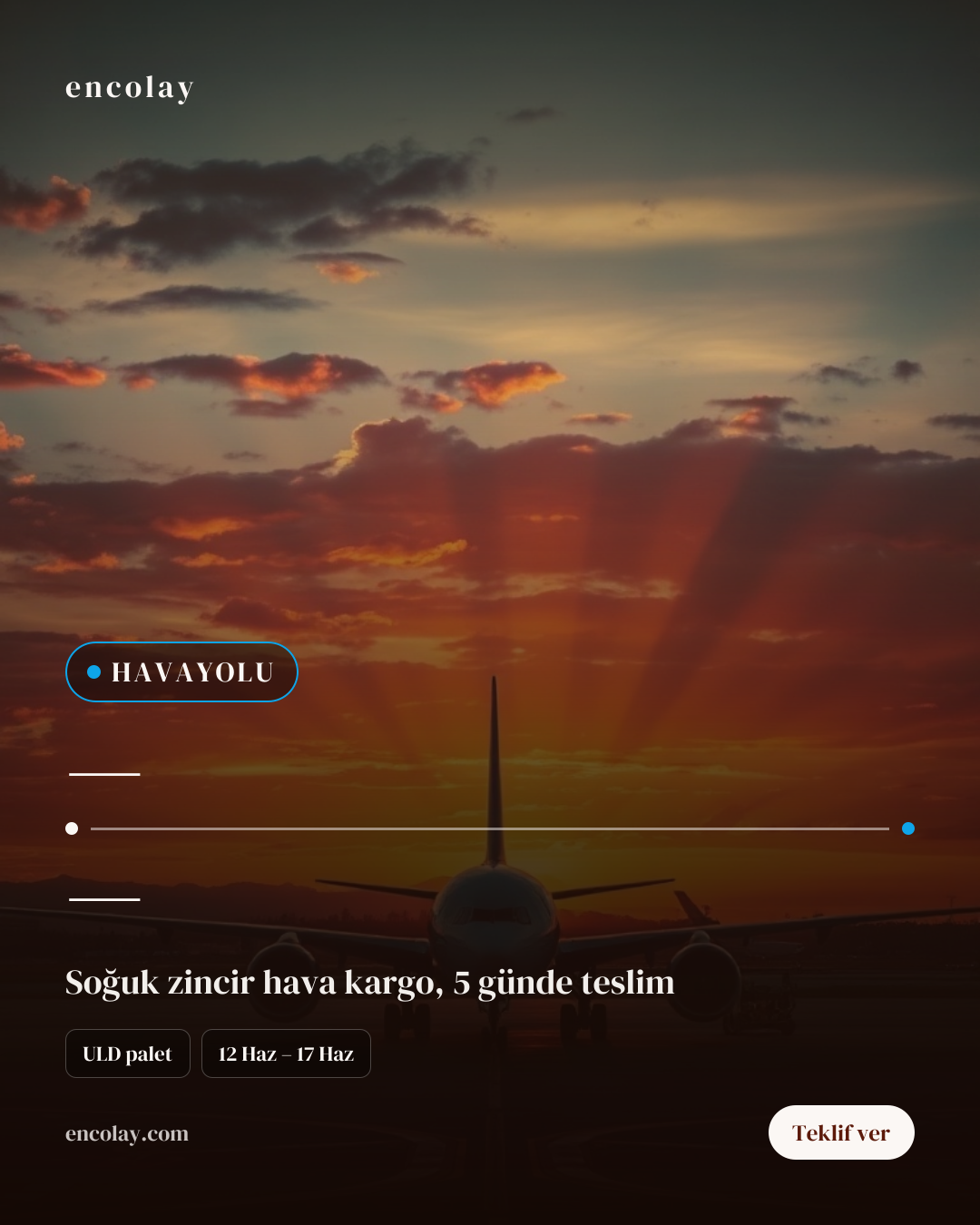 Uluslararası Havayolu Taşımacılığı İstihdam Talebi